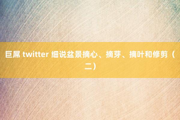 巨屌 twitter 细说盆景摘心、摘芽、摘叶和修剪（二）