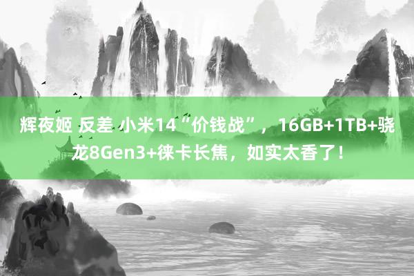 辉夜姬 反差 小米14“价钱战”，16GB+1TB+骁龙8Gen3+徕卡长焦，如实太香了！