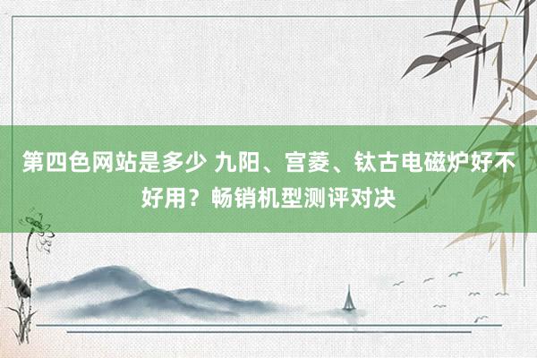 第四色网站是多少 九阳、宫菱、钛古电磁炉好不好用？畅销机型测评对决