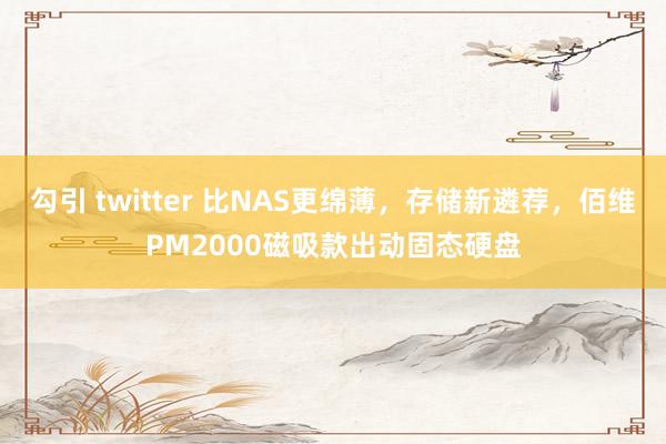 勾引 twitter 比NAS更绵薄，存储新遴荐，佰维PM2000磁吸款出动固态硬盘