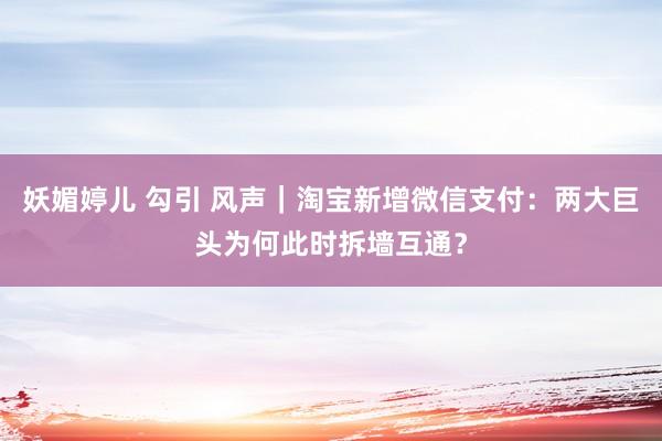 妖媚婷儿 勾引 风声｜淘宝新增微信支付：两大巨头为何此时拆墙互通？