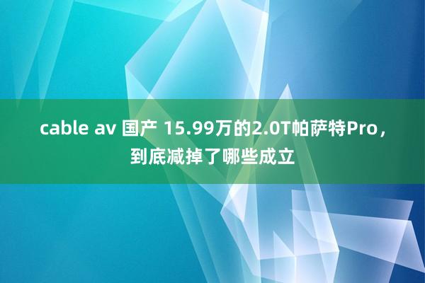 cable av 国产 15.99万的2.0T帕萨特Pro，到底减掉了哪些成立