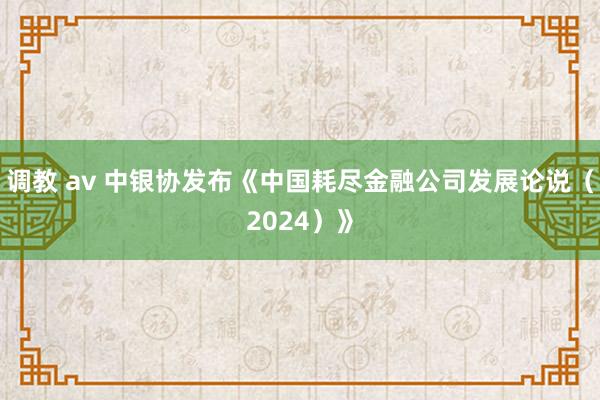 调教 av 中银协发布《中国耗尽金融公司发展论说（2024）》