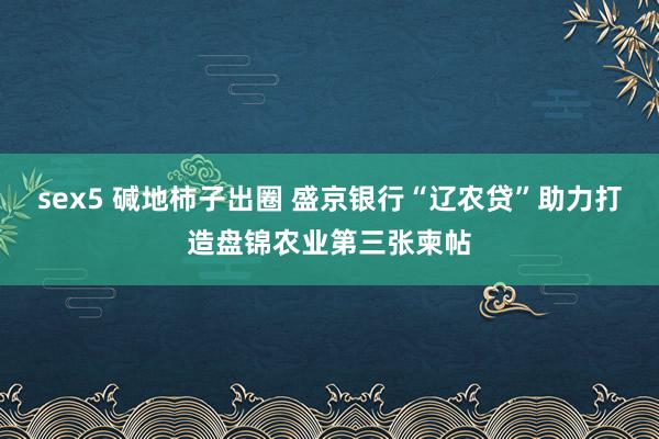 sex5 碱地柿子出圈 盛京银行“辽农贷”助力打造盘锦农业第三张柬帖