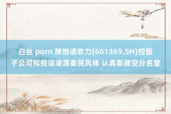 白丝 porn 陕饱读吹力(601369.SH)控股子公司拟投设凌源秦民风体 认真新建空分名堂