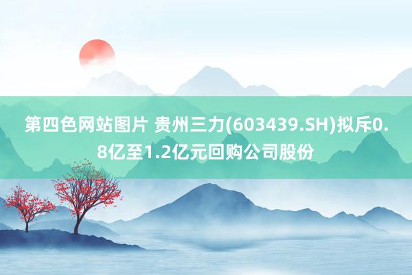 第四色网站图片 贵州三力(603439.SH)拟斥0.8亿至1.2亿元回购公司股份