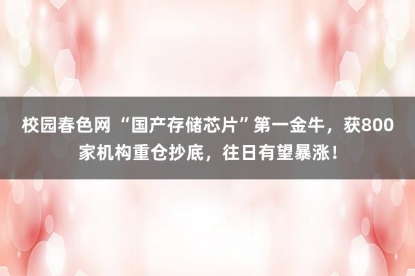 校园春色网 “国产存储芯片”第一金牛，获800家机构重仓抄底，往日有望暴涨！