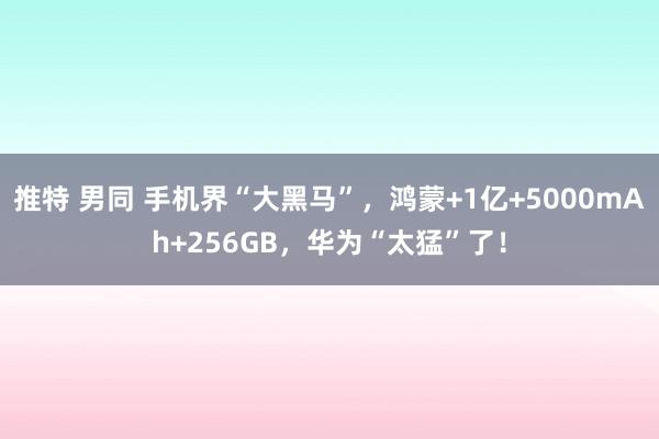 推特 男同 手机界“大黑马”，鸿蒙+1亿+5000mAh+256GB，华为“太猛”了！