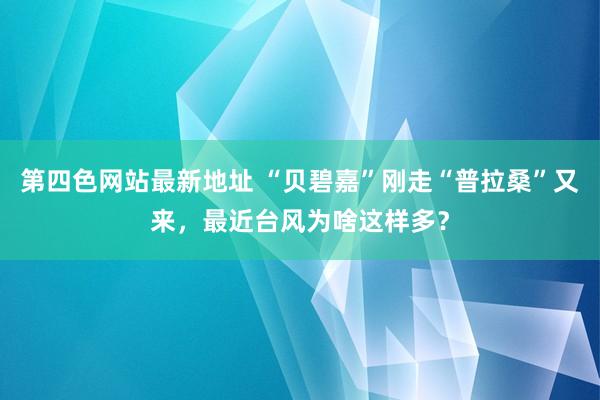 第四色网站最新地址 “贝碧嘉”刚走“普拉桑”又来，最近台风为啥这样多？