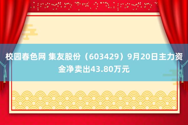 校园春色网 集友股份（603429）9月20日主力资金净卖出43.80万元