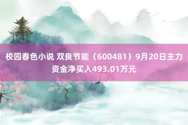 校园春色小说 双良节能（600481）9月20日主力资金净买入493.01万元