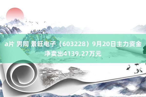 a片 男同 景旺电子（603228）9月20日主力资金净卖出4139.27万元