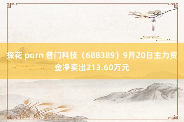 探花 porn 普门科技（688389）9月20日主力资金净卖出213.60万元