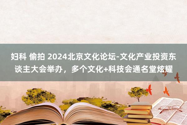 妇科 偷拍 2024北京文化论坛-文化产业投资东谈主大会举办，多个文化+科技会通名堂炫耀