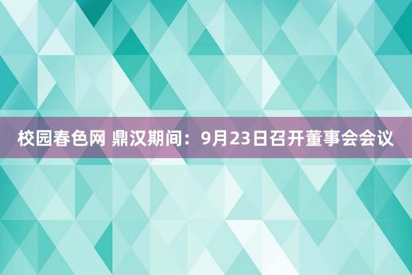 校园春色网 鼎汉期间：9月23日召开董事会会议