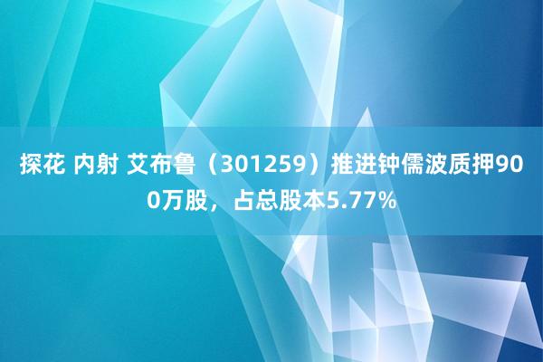 探花 内射 艾布鲁（301259）推进钟儒波质押900万股，占总股本5.77%