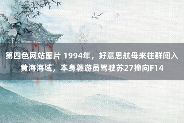 第四色网站图片 1994年，好意思航母来往群闯入黄海海域，本身翱游员驾驶苏27撞向F14