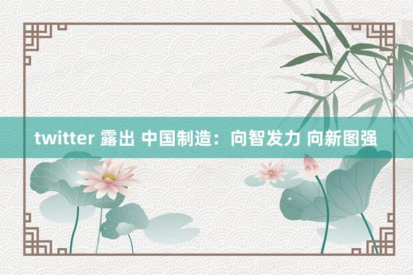 twitter 露出 中国制造：向智发力 向新图强