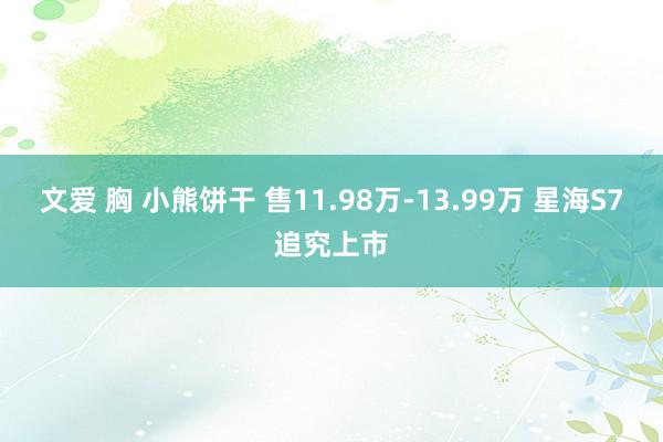 文爱 胸 小熊饼干 售11.98万-13.99万 星海S7追究上市