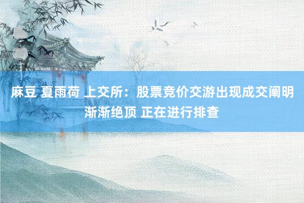 麻豆 夏雨荷 上交所：股票竞价交游出现成交阐明渐渐绝顶 正在进行排查