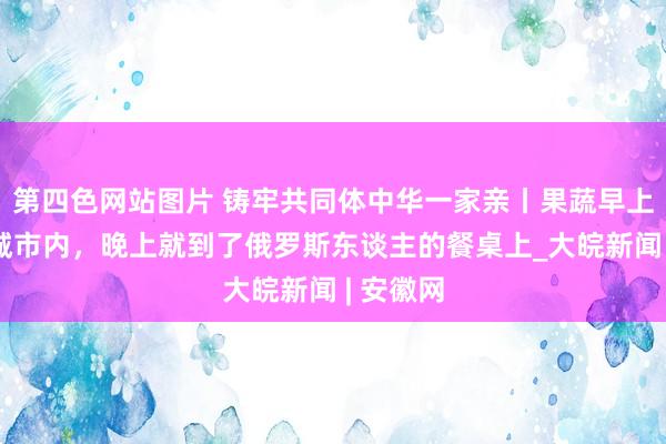 第四色网站图片 铸牢共同体中华一家亲丨果蔬早上还在塔城市内，晚上就到了俄罗斯东谈主的餐桌上_大皖新闻 | 安徽网