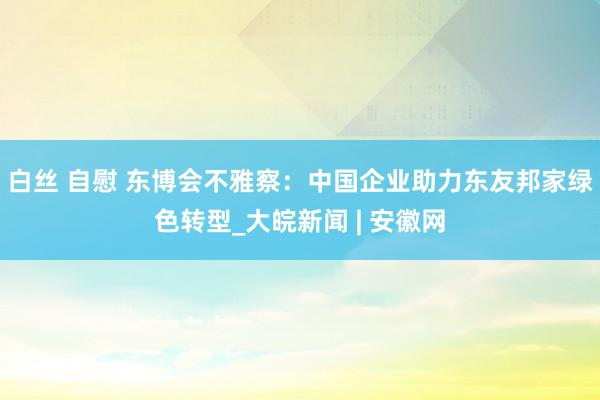 白丝 自慰 东博会不雅察：中国企业助力东友邦家绿色转型_大皖新闻 | 安徽网