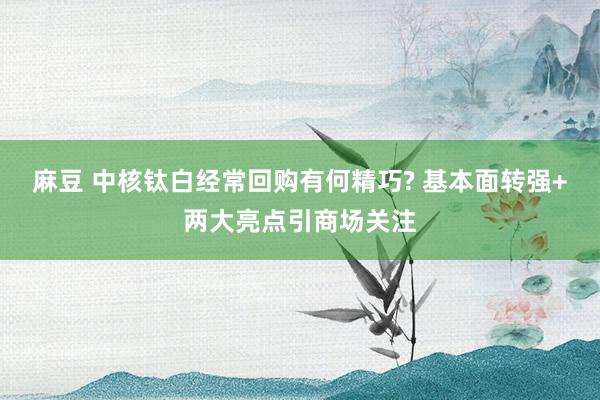 麻豆 中核钛白经常回购有何精巧? 基本面转强+两大亮点引商场关注