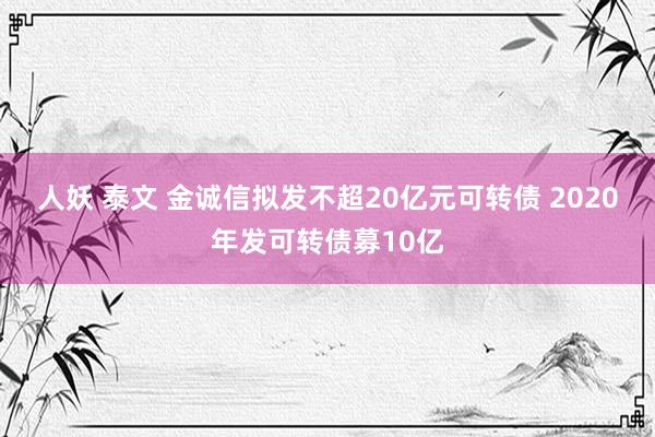 人妖 泰文 金诚信拟发不超20亿元可转债 2020年发可转债募10亿