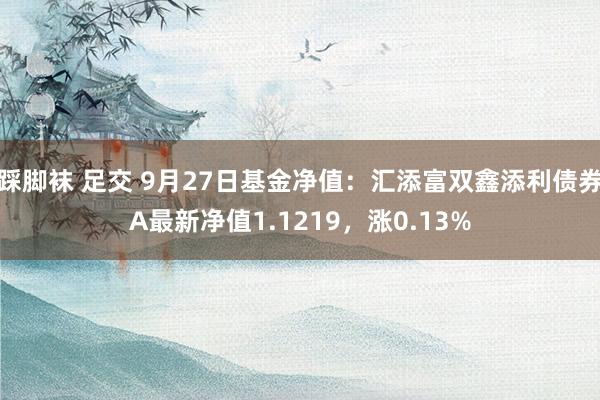 踩脚袜 足交 9月27日基金净值：汇添富双鑫添利债券A最新净值1.1219，涨0.13%