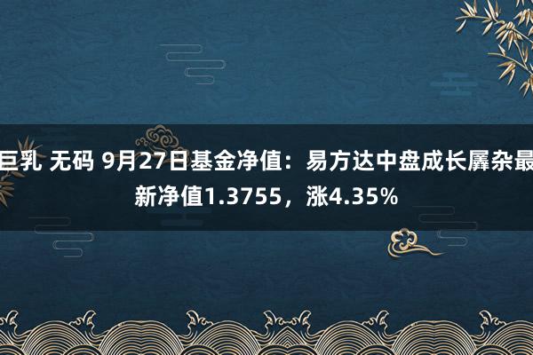 巨乳 无码 9月27日基金净值：易方达中盘成长羼杂最新净值1.3755，涨4.35%