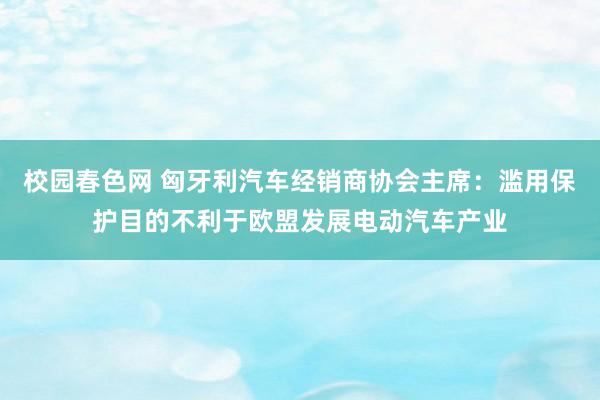 校园春色网 匈牙利汽车经销商协会主席：滥用保护目的不利于欧盟发展电动汽车产业