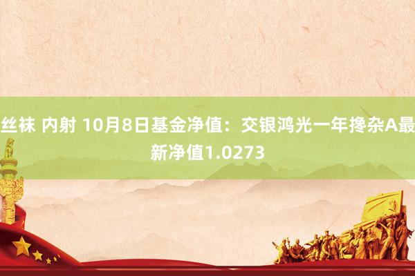 丝袜 内射 10月8日基金净值：交银鸿光一年搀杂A最新净值1.0273