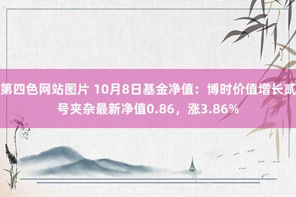 第四色网站图片 10月8日基金净值：博时价值增长贰号夹杂最新净值0.86，涨3.86%