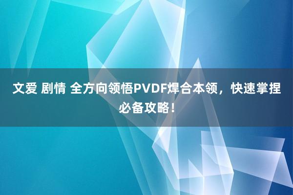 文爱 剧情 全方向领悟PVDF焊合本领，快速掌捏必备攻略！