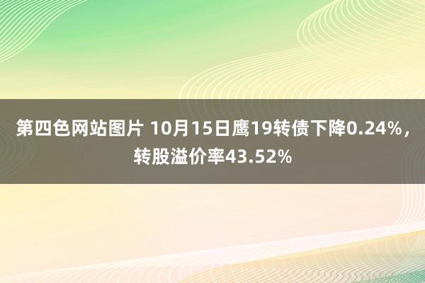 第四色网站图片 10月15日鹰19转债下降0.24%，转股溢价率43.52%