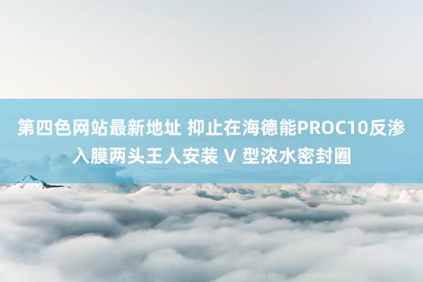 第四色网站最新地址 抑止在海德能PROC10反渗入膜两头王人安装 V 型浓水密封圈