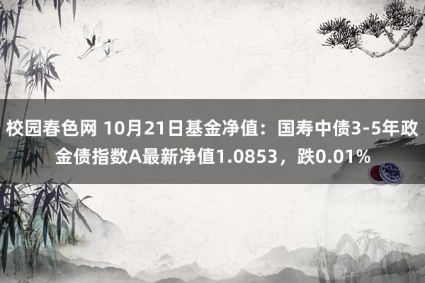 校园春色网 10月21日基金净值：国寿中债3-5年政金债指数A最新净值1.0853，跌0.01%