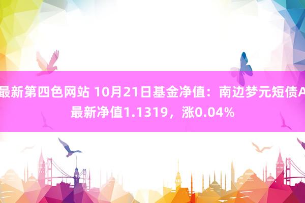 最新第四色网站 10月21日基金净值：南边梦元短债A最新净值1.1319，涨0.04%