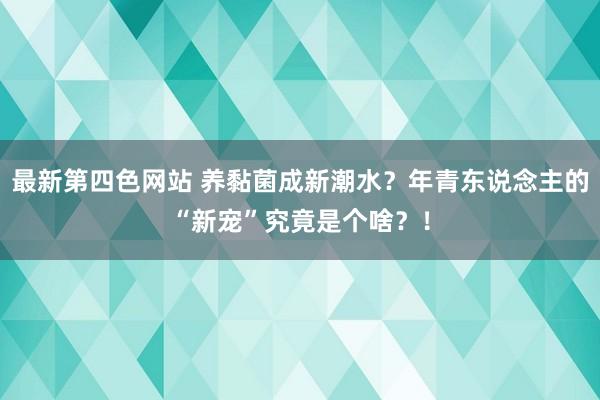 最新第四色网站 养黏菌成新潮水？年青东说念主的“新宠”究竟是个啥？！