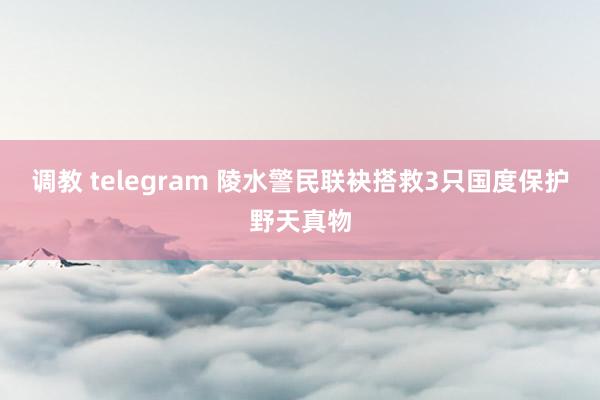 调教 telegram 陵水警民联袂搭救3只国度保护野天真物