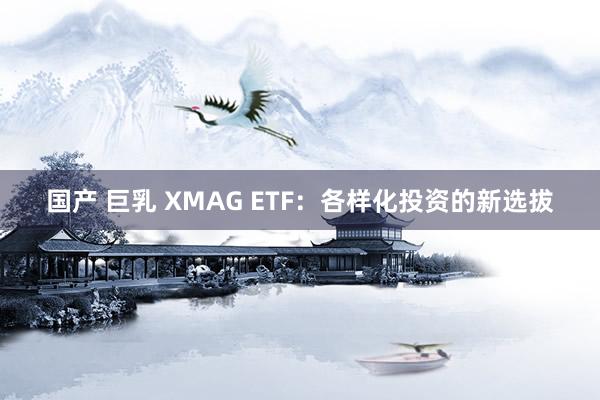 国产 巨乳 XMAG ETF：各样化投资的新选拔