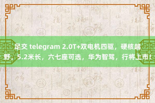 足交 telegram 2.0T+双电机四驱，硬核越野，5.2米长，六七座可选，华为智驾，行将上市！