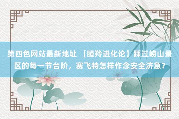 第四色网站最新地址 【瞪羚进化论】踩过崂山景区的每一节台阶，赛飞特怎样作念安全济急？