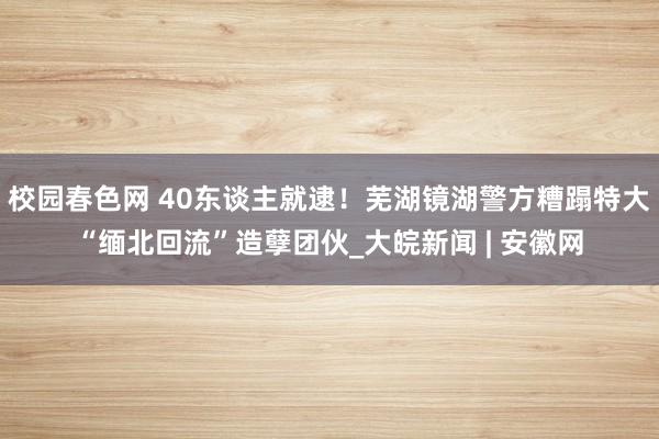 校园春色网 40东谈主就逮！芜湖镜湖警方糟蹋特大“缅北回流”造孽团伙_大皖新闻 | 安徽网