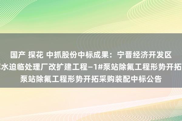 国产 探花 中抓股份中标成果：宁晋经济开发区（西城工业园）浑水迫临处理厂改扩建工程—1#泵站除氟工程形势开拓采购装配中标公告