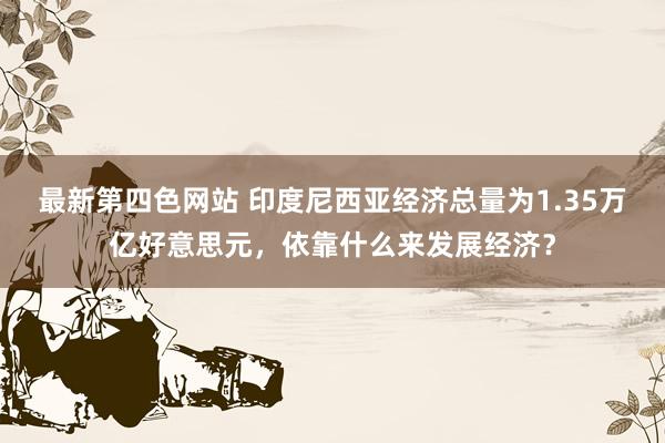 最新第四色网站 印度尼西亚经济总量为1.35万亿好意思元，依靠什么来发展经济？