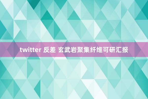 twitter 反差 玄武岩聚集纤维可研汇报