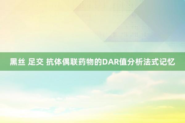 黑丝 足交 抗体偶联药物的DAR值分析法式记忆