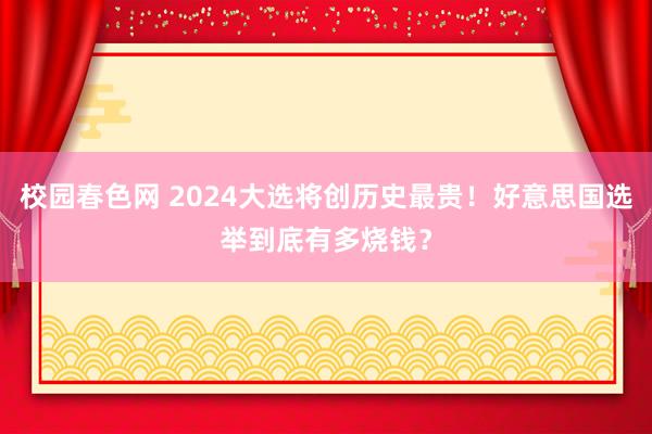 校园春色网 2024大选将创历史最贵！好意思国选举到底有多烧钱？