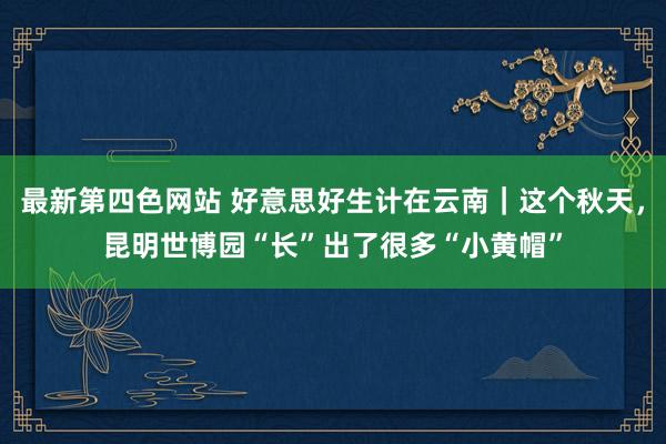 最新第四色网站 好意思好生计在云南｜这个秋天，昆明世博园“长”出了很多“小黄帽”